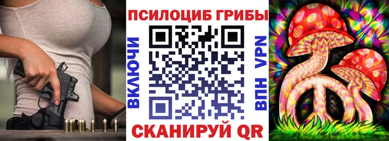 гидра ССЫЛКА  купить   Эртиль  Галлюциногенные грибы прущие грибы 